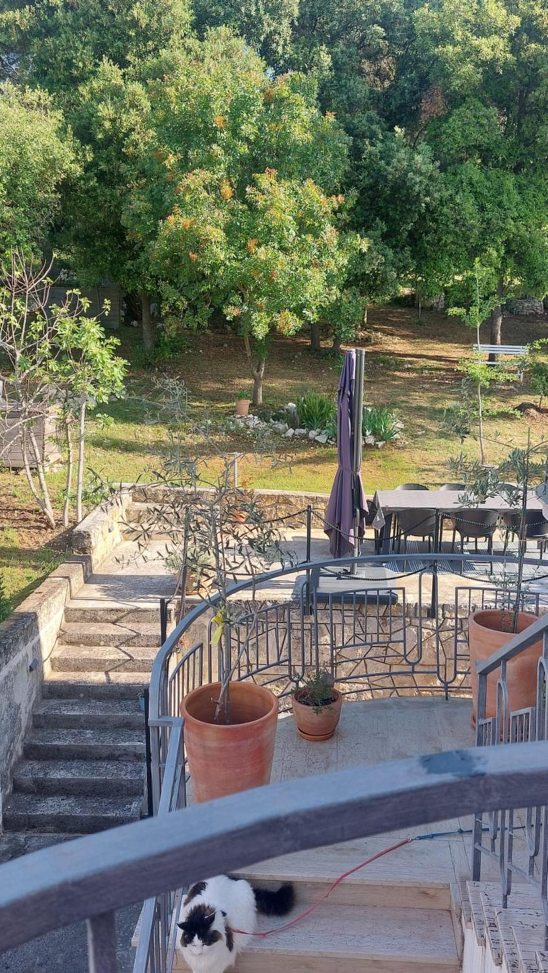 Marta Appartement Rovinj Buitenkant foto